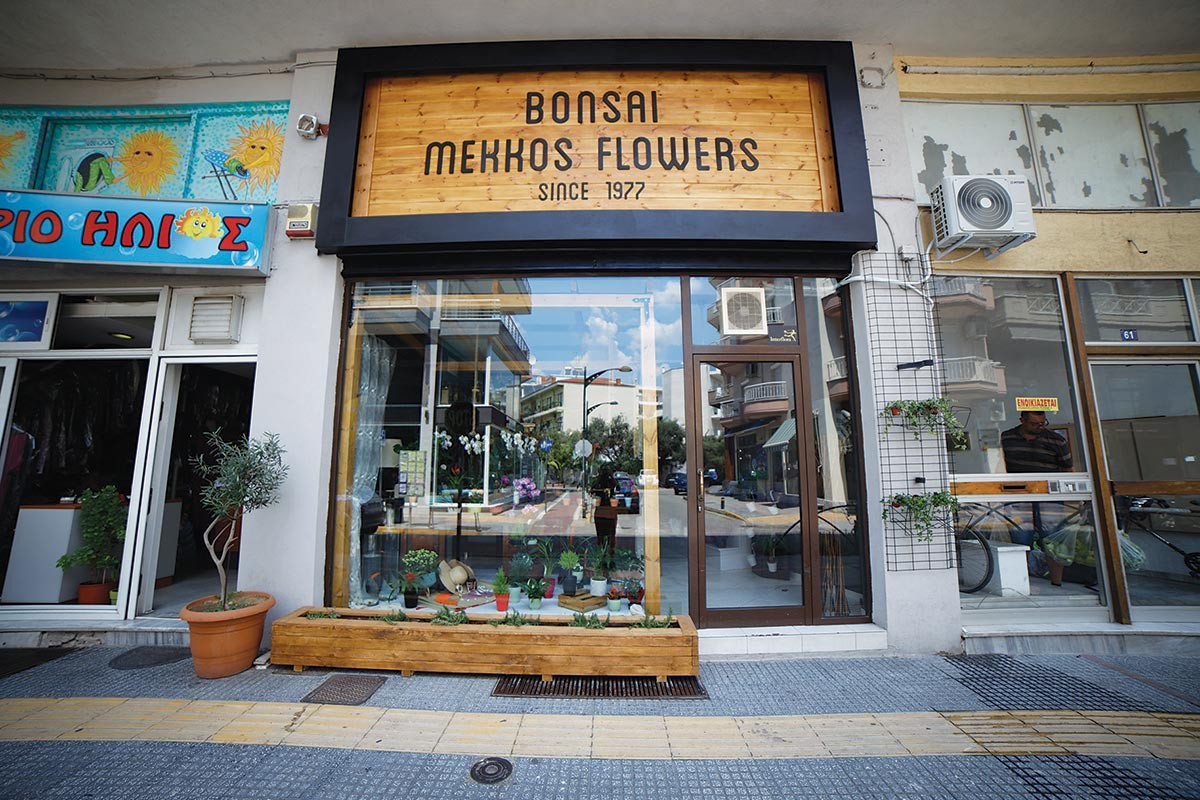 Bonsai Mekkos Flowers λουλούδια από τον τόπο σου