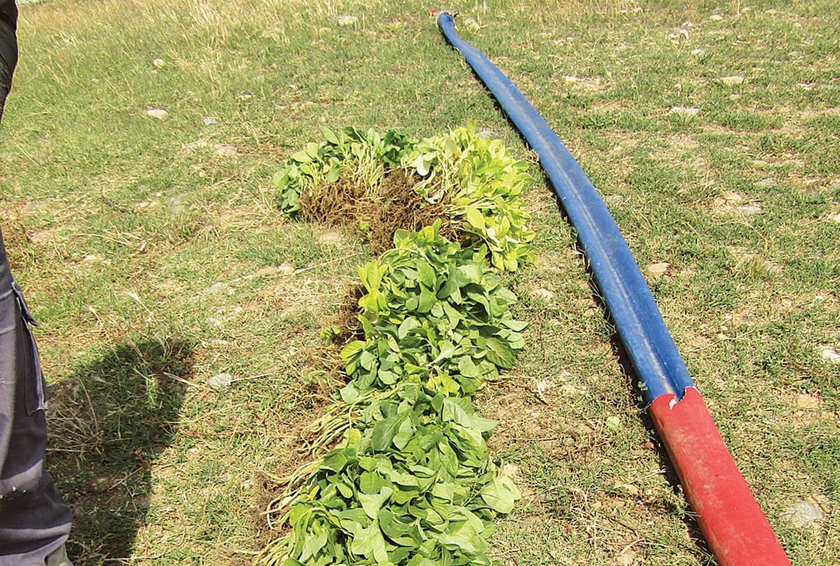 ÎÏοÏÎλεÏμα εικÏÎ½Î±Ï Î³Î¹Î± αÏοκαÏάÏÏαÏη ÏÏν ζημιÏν, ÏοÏ
ÏÏοκλήθηκαν ÏÏÎ¹Ï ÎºÎ±Î»Î»Î¹ÎÏÎ³ÎµÎ¹ÎµÏ ÎºÎ±ÏνοÏ