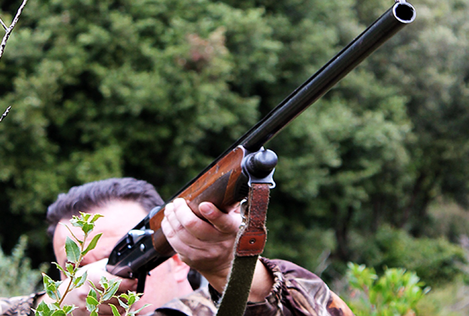 Synora 8a Epitrepetai To Kynhgi Agrioxoiroy synora 8a epitrepetai to kynhgi